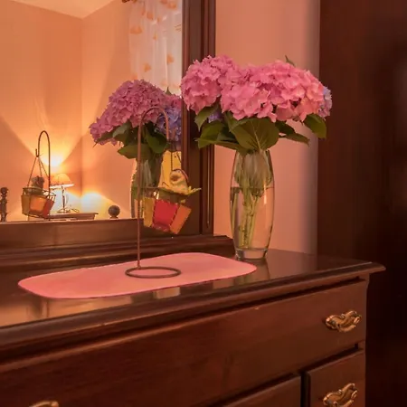 Pensionat Jazina Pavlovic 3*